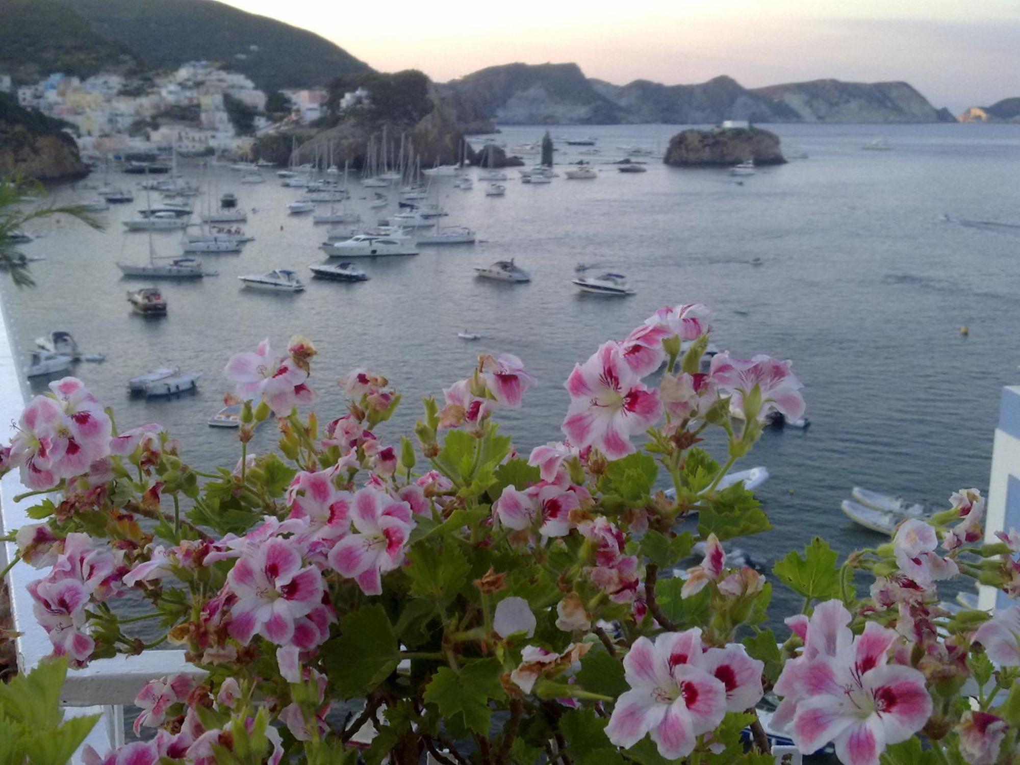 Hotel La Baia ポンツァ エクステリア 写真